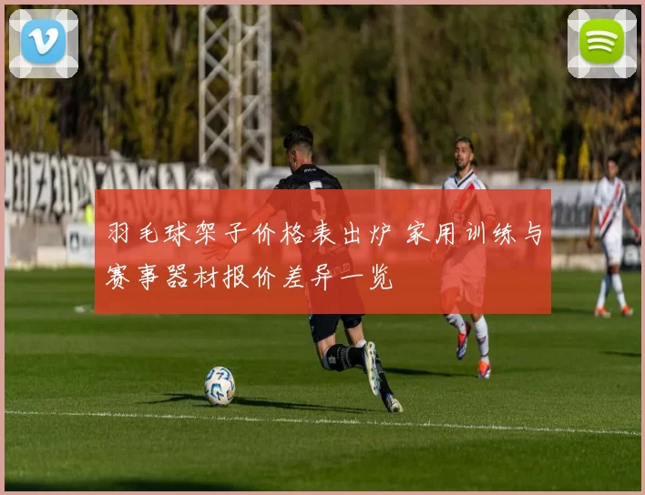 羽毛球架子价格表出炉 家用训练与赛事器材报价差异一览